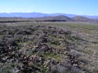 Photo of the site