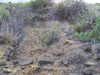 Inside the ruin