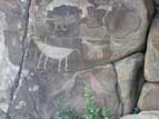 Petroglyph panel