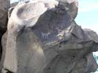 Zoomorphic petroglyph