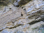 Outside of Devil's Chasm ruin