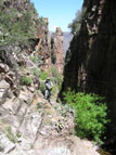 Brush-choked canyon